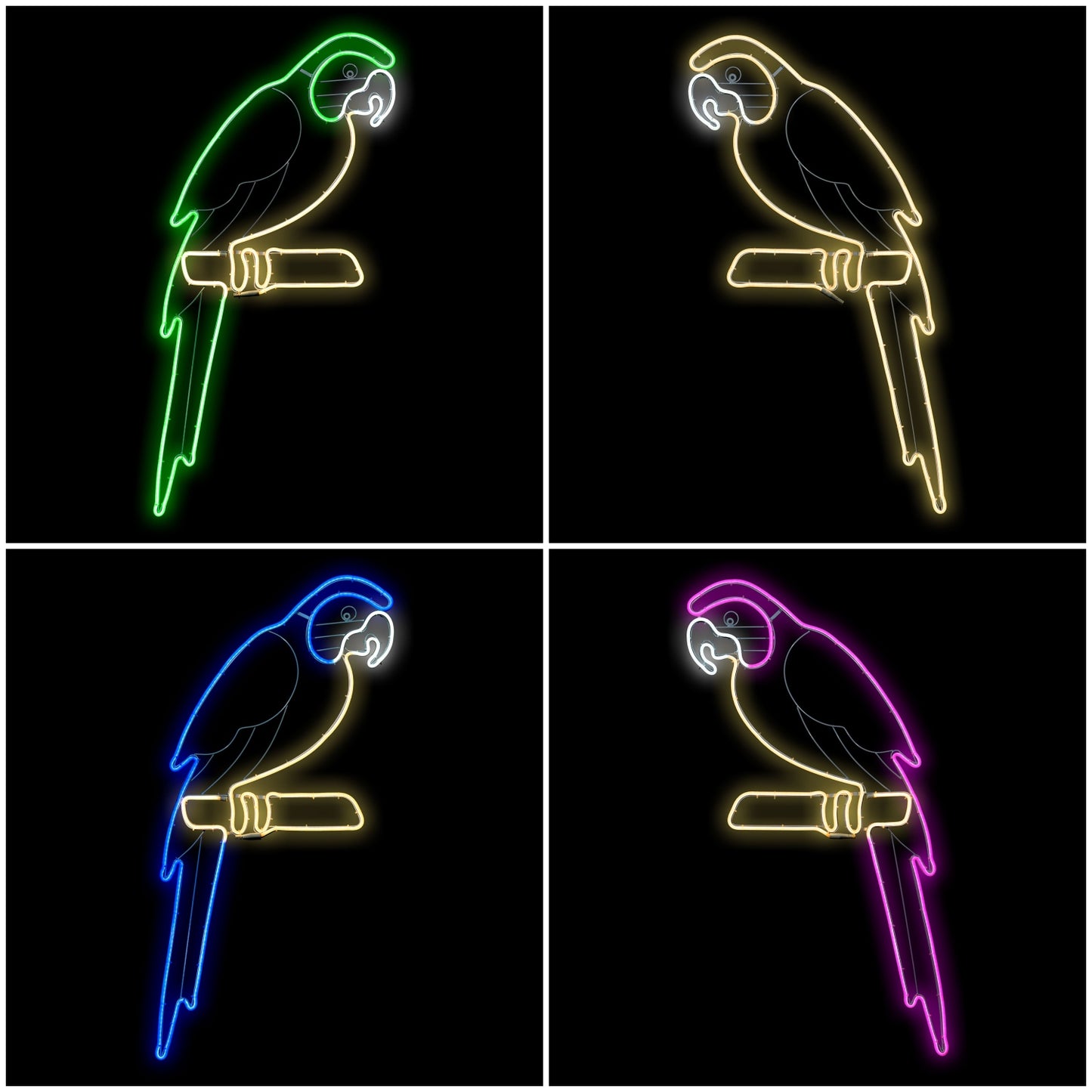 Neon Bifacciale LED 50x120cm Mix4 – Variante Rosa Fucsia