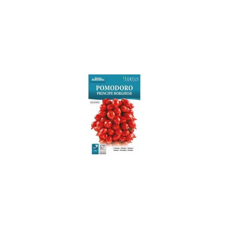 Principe Borghese Grand Harvest Tomato