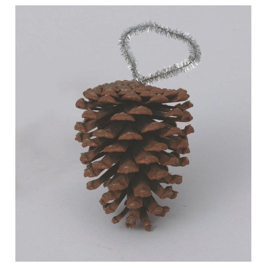 Pigna naturale decorativa H10 cm con gancio