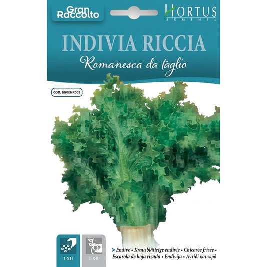 Gran Raccolto cut Roman curly endive
