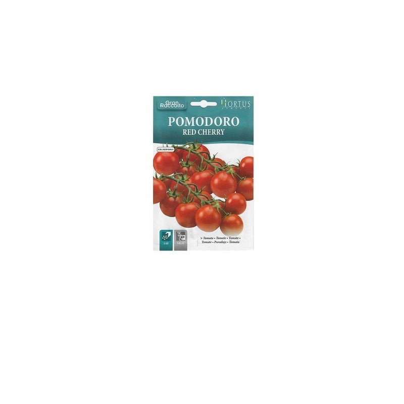 Rote Kirschtomate der großen Ernte