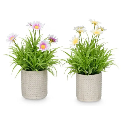 Zementvase für Blumen, 16 x 16 x 22 h, verschiedene Farben