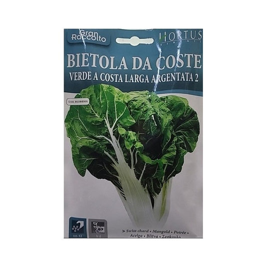 Green Chard Costa Lunga Argentata 2 Great Harvest
