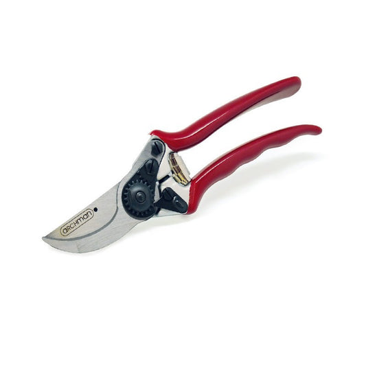 Vine pruning shears with interchangeable blade 21 cm