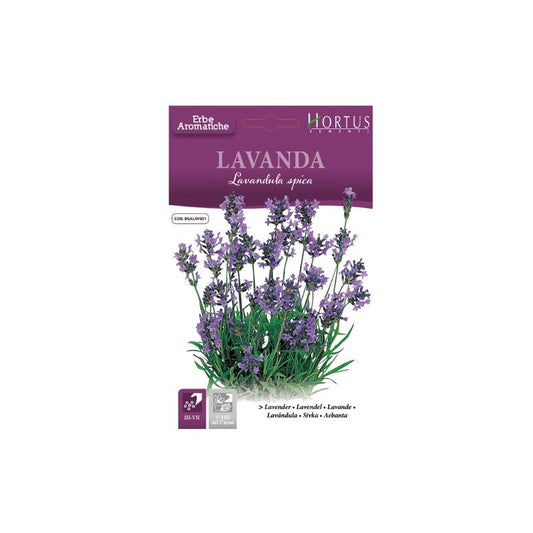 Lavender DB