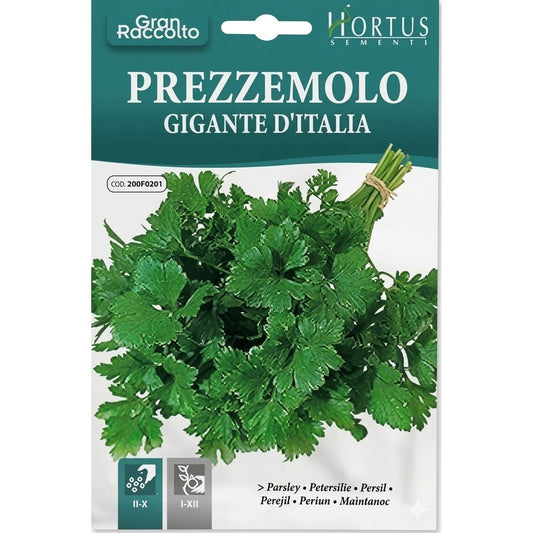Giant Italian Parsley Great Harvest