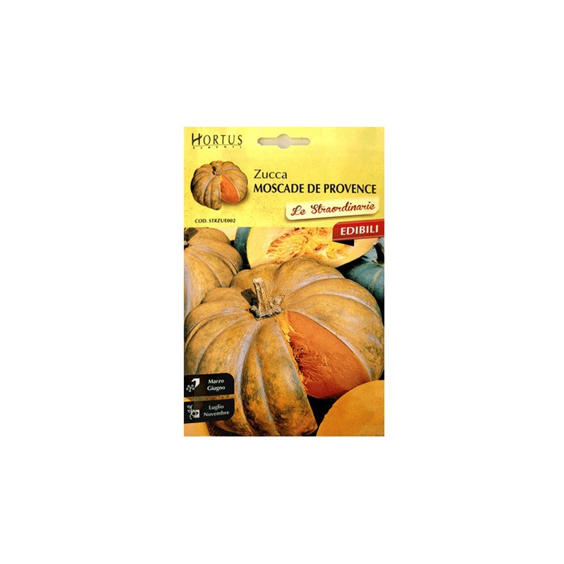 Zucca Moscade de Provence straordinarie