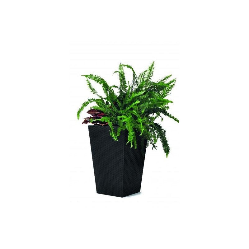 Keter Jarrón Planter S ratán antracita 23,6l cm 28,5x28,5x43,5 h