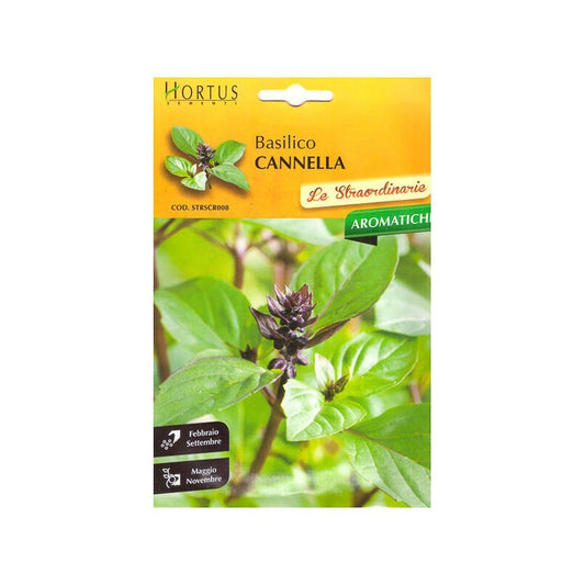 Basil Cinnamon extraordinary