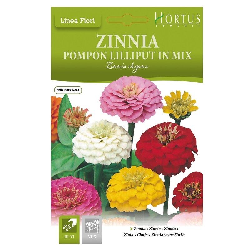 Zinnia Pompon Lilliput mix DN