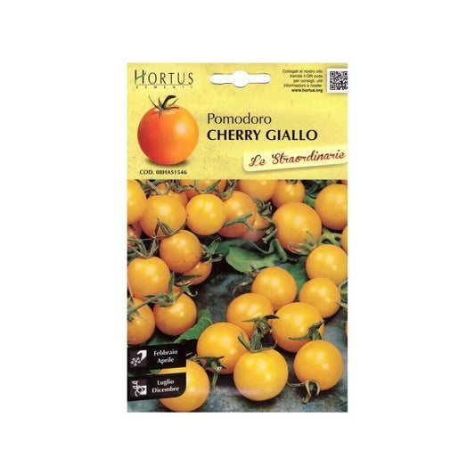 Extraordinary yellow Cherry tomatoes