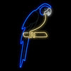 Neon Bifacciale LED 50x120cm Mix4 – Variante Blue