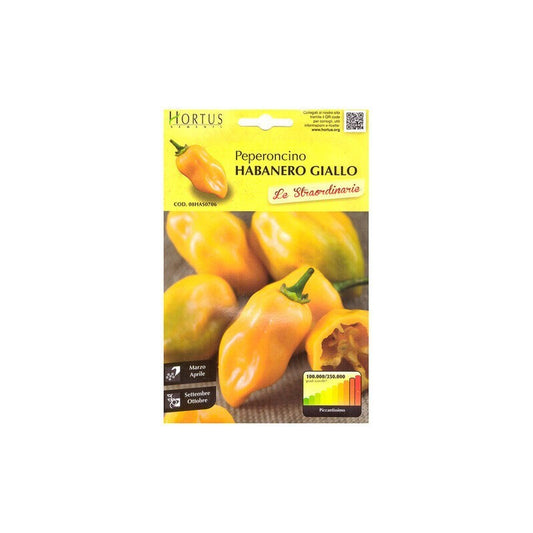 Extraordinary yellow habanero pepper
