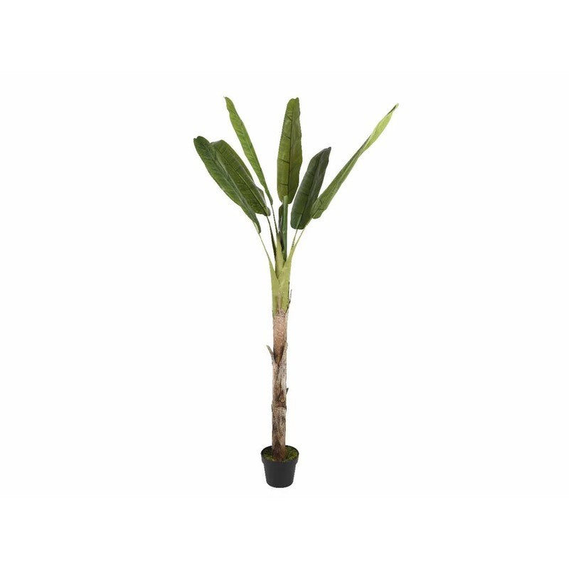 Banano artificiale con vaso verde H280 cm da interno ed esterno