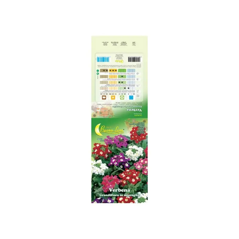 Gartenverbene hybrida Samen 10 Stk