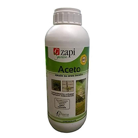 Zapi Aceto concentrato 1 lt