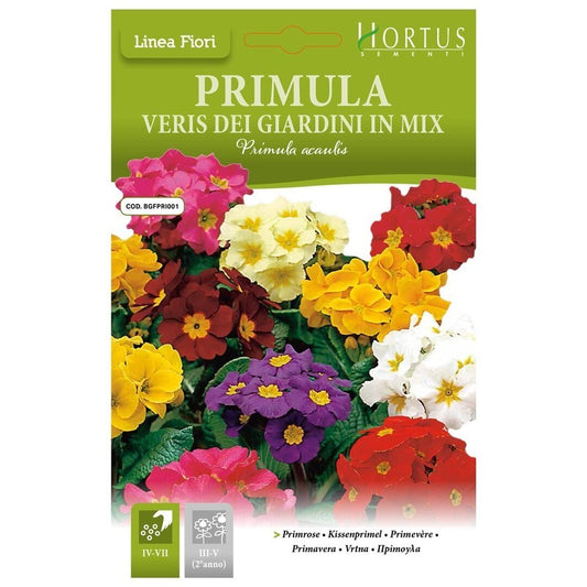Primula veris Garden mix DB