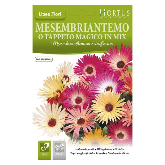 Mesembrianthemum or magic carpet mix DB