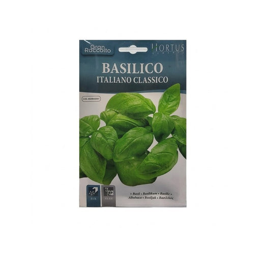 Classic Italian basil Gran Raccolto