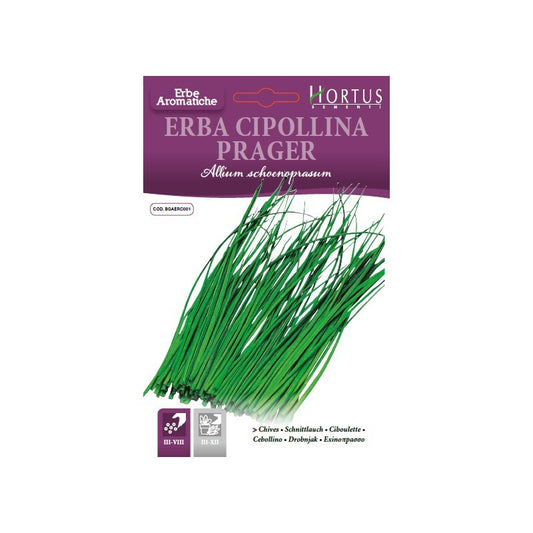Chives DB