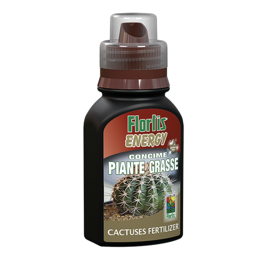 Concime Energy piante grasse 250 gr