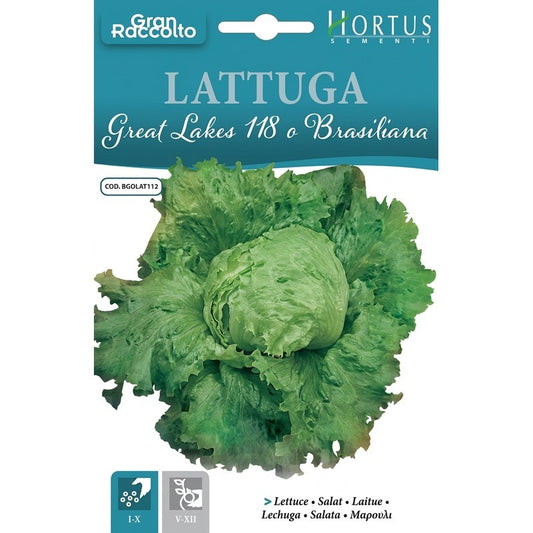 Great Lakes 118 Brazilian Big Harvest Lettuce