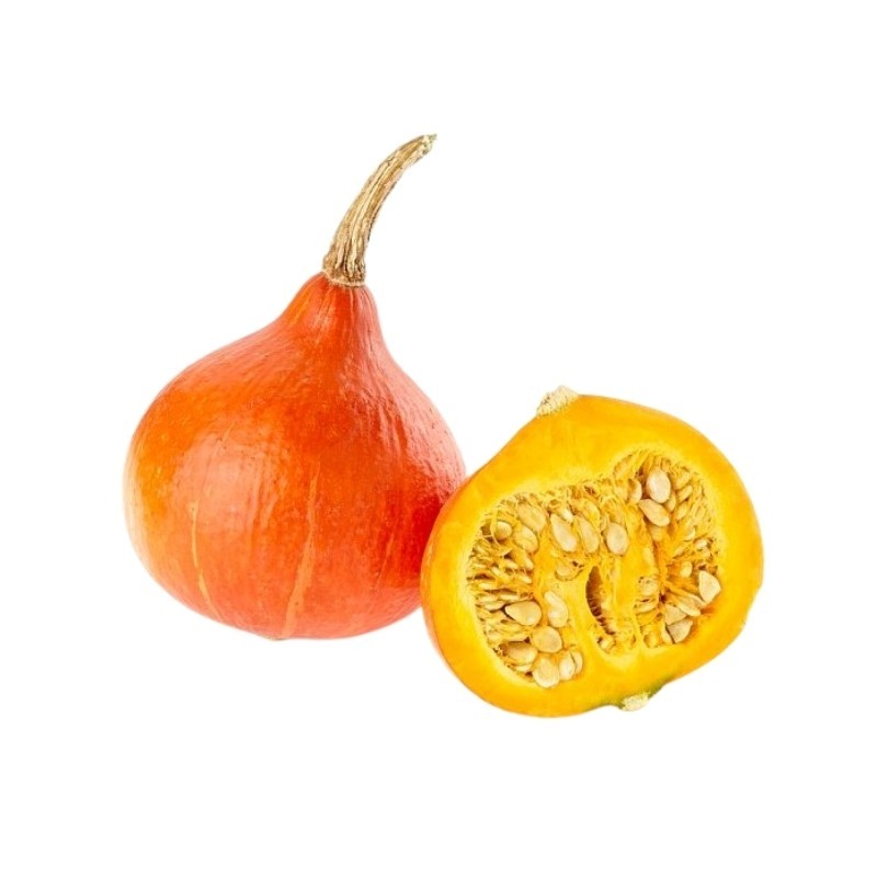 Zucca Uchiki Kuri Hokkaido le asiatiche