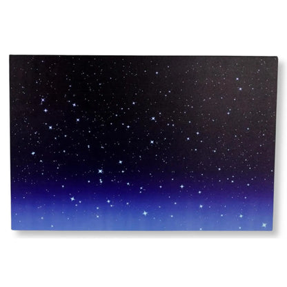 Pannello cielo stellato luminoso in fibra ottica LED 60 × 40 cm a batteria