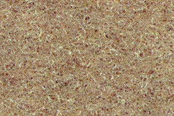 Tris Spagna Eco H202 beige 20