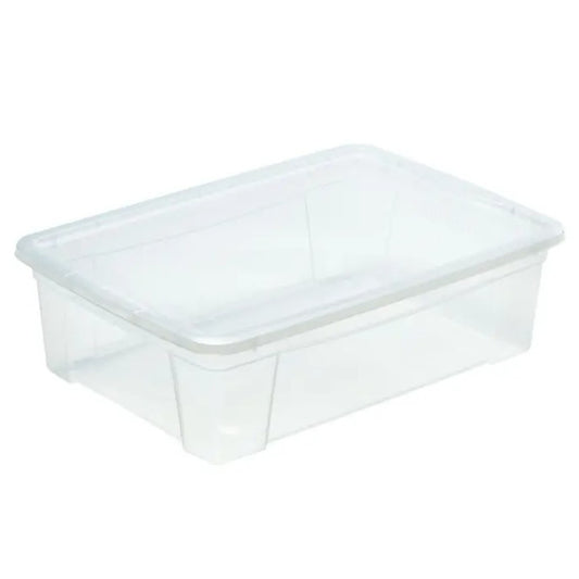 Transparent container L 25.6 cm 56 x 39.5 x 17