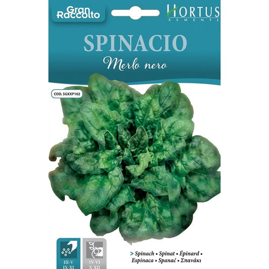 Amselspinat Tolle Ernte