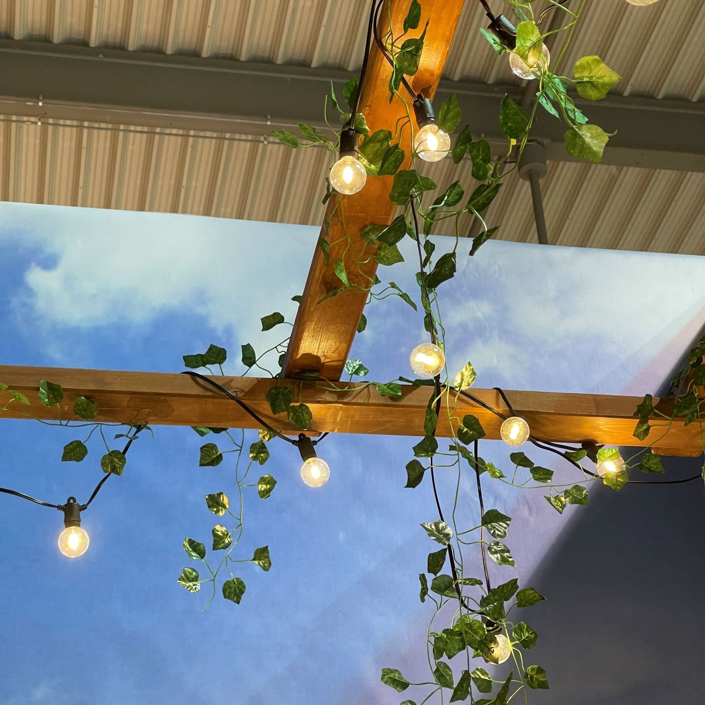 Catena solare 2,5x5m con 12 lampadine G40