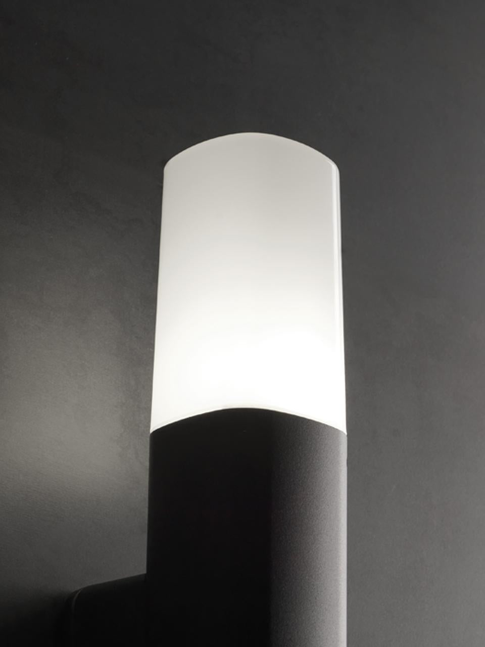 Lampada da esterno in alluminio pressofuso con diffusore opalino - Dimensioni: 175mm x 50mm - Potenza massima: 25W grafite