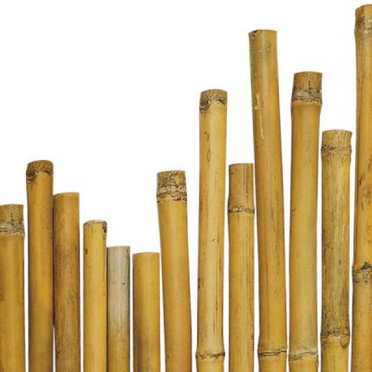 Solid bamboo canes to support plants Ø 2.2-2.4 cm h 180 cm