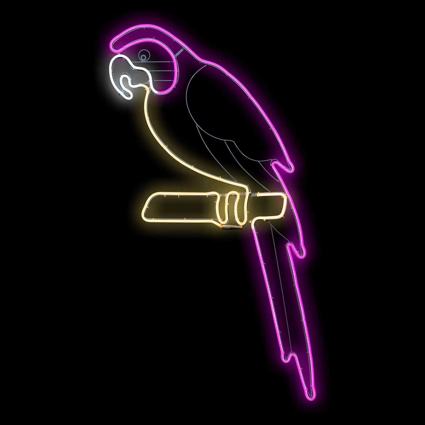 Neon Bifacciale LED 50x120cm Mix4 – Variante Rosa Fucsia