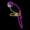 Neon Bifacciale LED 50x120cm Mix4 – Variante Rosa Fucsia