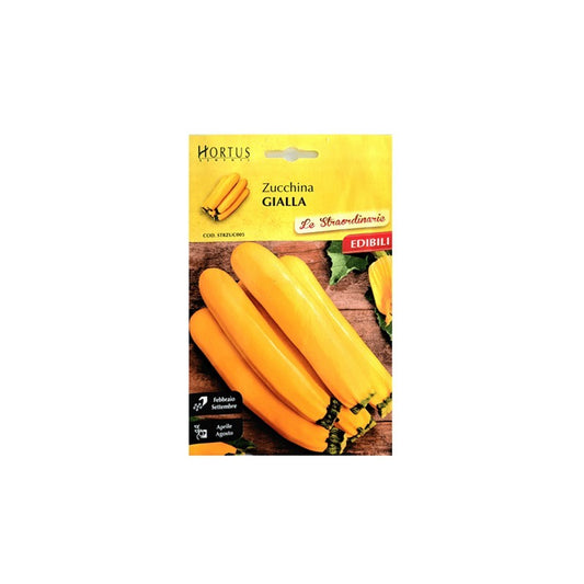 Außergewöhnliche gelbe Zucchini