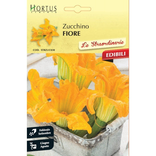 Außergewöhnliche Zucchiniblüten