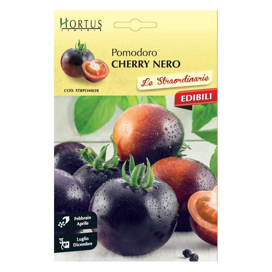 Extraordinary black cherry tomatoes