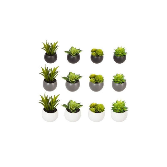 Planta suculenta D6 cm con maceta magnética
