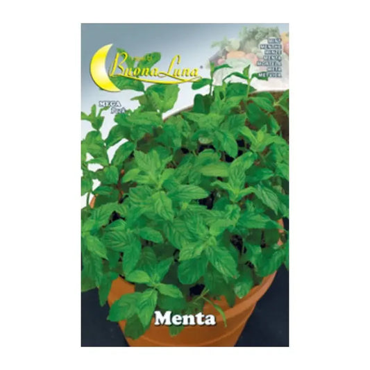 mint vegetable seeds 10 pcs